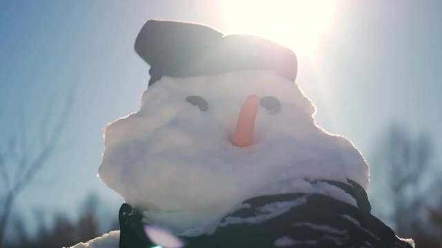 Snowman in landscape with scarf and carrot for nose