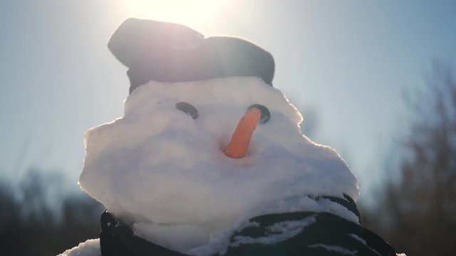 Snowman in landscape with scarf and carrot for nose
