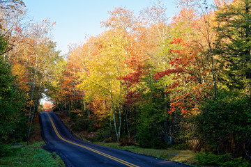 Obraz premium Road surrounded in fall foliage