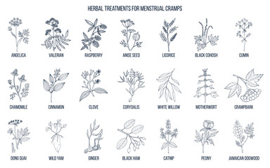 Fototapeta na wymiar Best herbs for menstrual cramps treatment