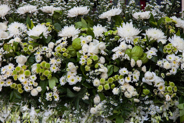 White flower background.