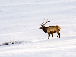 Heading down the hill