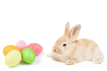 Fototapeta na wymiar Easter Bunny and painted eggs