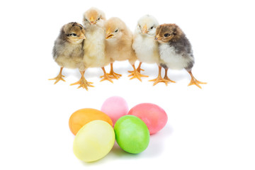 Easter chick and painted eggs