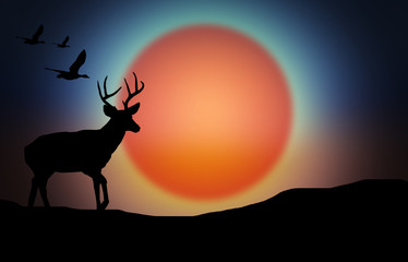 Against the background of the sunset, animals