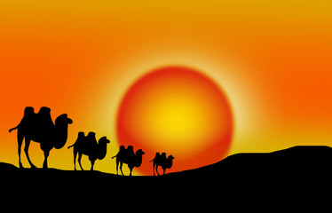 Obraz na płótnie Canvas Against the background of the sunset, animals