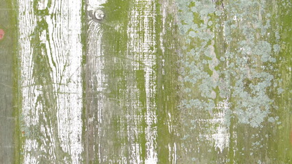 Texture of painted Board.