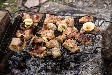 Pork meat roasting on the grill. Meat on the coals, barbeque close up