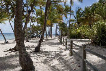 Plage de Guadeloupe