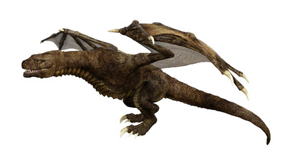 Obraz premium 3D Rendering Fantasy Dragon on White