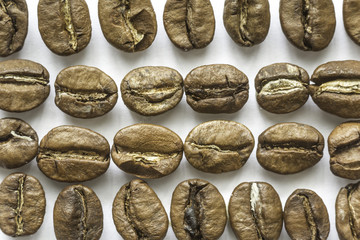 Horizontal and vertical rows of coffee beans.Different shapes and different shades of brown. White background.Site about food,drinks, health,business.