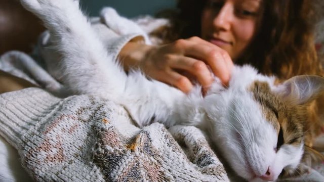 Young girl stroking fluffy cat lying on the bed