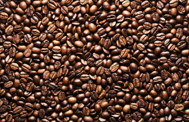 Fototapeta premium Coffee beans background