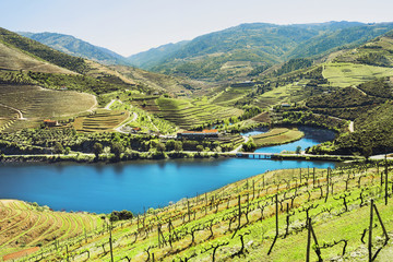 Douro Valley. Vineyards and landscape near Pinhao town, Portugal - obrazy, fototapety, plakaty