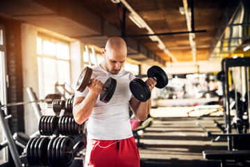 Fototapeta na wymiar Close up portrait view of motivated and focused strong muscular active healthy young bald man doing biceps exercises with raising dumbbells and listening music in the sunny modern gym.
