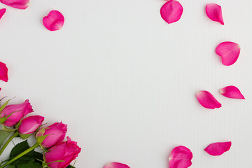 Fototapeta na wymiar Pink roses on a white wooden background with copyspace