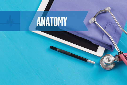 HEALTHCARE DOCTOR TECHNOLOGY  ANATOMY CONCEPT