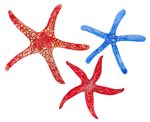 watercolor three starfish