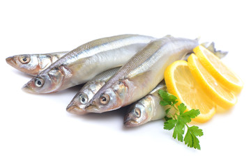 Smelt fish