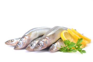 Smelt fish