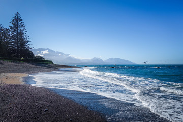 Kaikoura beach, New Zealand