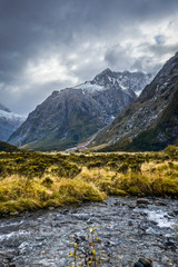 Fototapeta na wymiar River in Fiordland national park, New Zealand