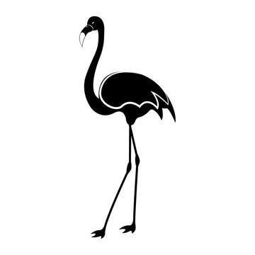 Vector image of a silhouette of a flamingo bird
