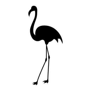 Vector image of a silhouette of a flamingo bird