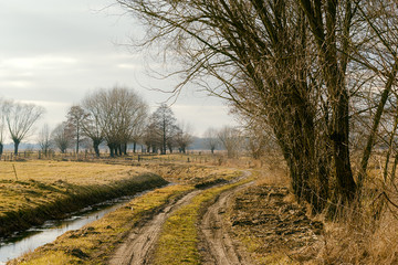Przedwiosenne widoki Podlasia