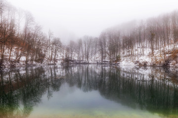 Lake in snowy forest