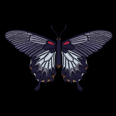 Embroidered butterfly for fashion design.