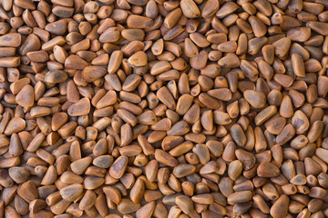 Pine nuts background