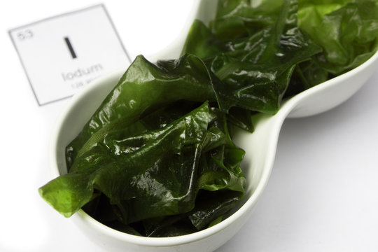 Laminaria (sea kale) on a white background with an inscription from the chemical table