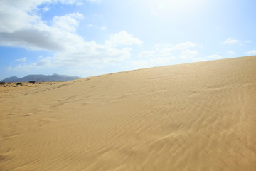 Fototapeta na wymiar Wanderdüne El Jable in Corralejo, Fuerteventura