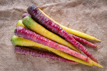Yellow and purple carrots of Polignano. Apulian food. Italy.