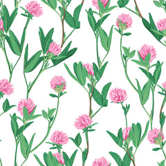 Floral seamless pattern with red clover.
