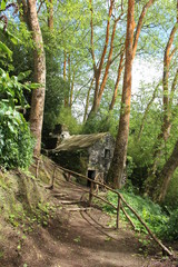 House in the wild rainforest of azorean island