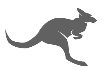 Kangaroo jumping on a white background