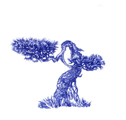 Бонсай хвойный. © ozrolf