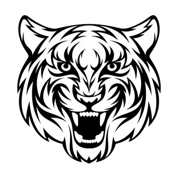Tiger head on a white background