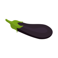 Eggplant icon in a flat design on a white background. Vector illustration