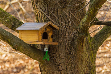 house for birds on the tree