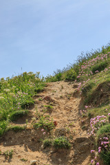 Pathway up a Hill