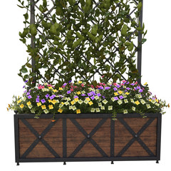 Pergola with flowers