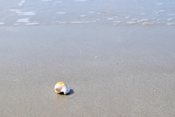 beach in good day