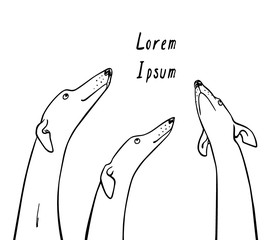 Hand drawn greyhounds