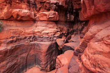 Red stone walls of the canyon.