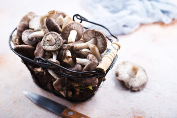 raw mushrooms