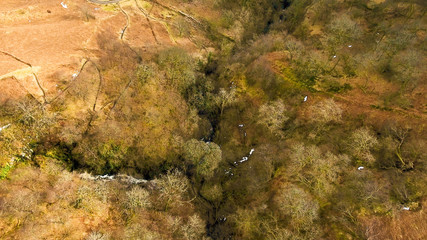 Aerial image looking down on a stream running through a wooded glen.