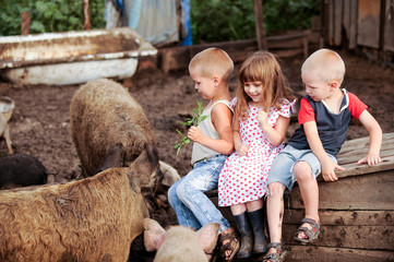 A girl from Italy came to visit Russian boys. One girl and two boys feed the pigs. The concept of friendship between peoples and love of animals.